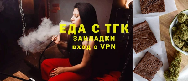 индика Бородино