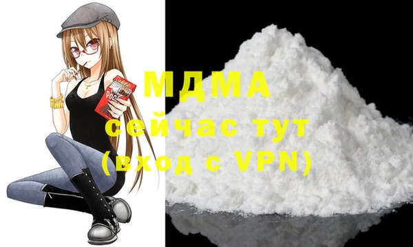индика Бородино