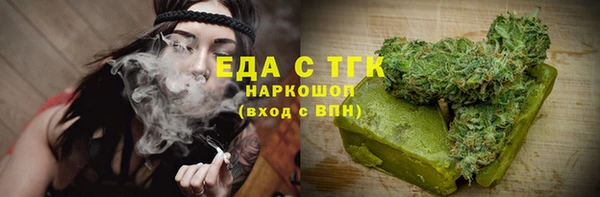 индика Бородино