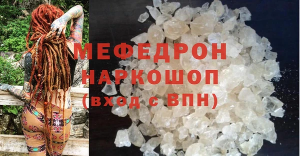 индика Бородино