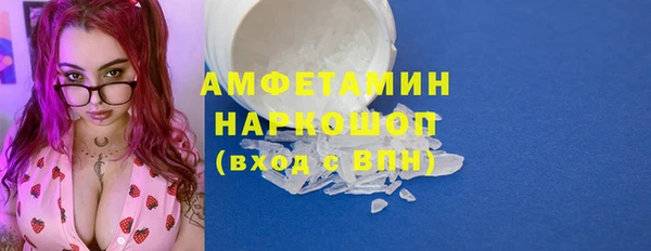 индика Бородино