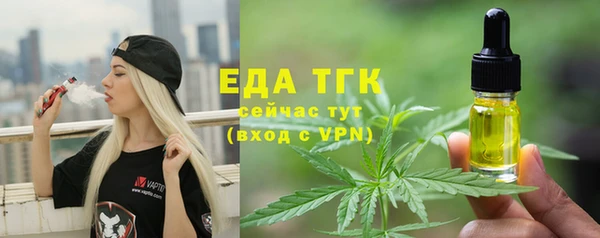 индика Бородино