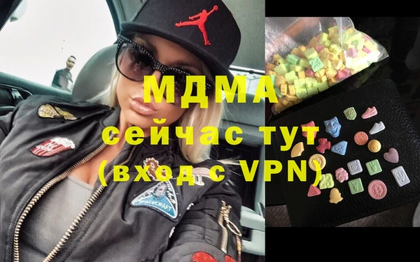 индика Бородино
