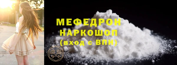 индика Бородино