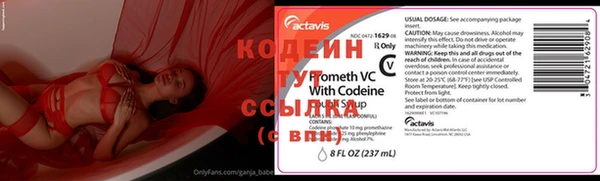 индика Бородино