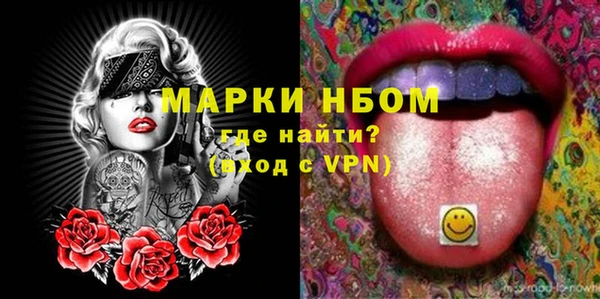 индика Бородино
