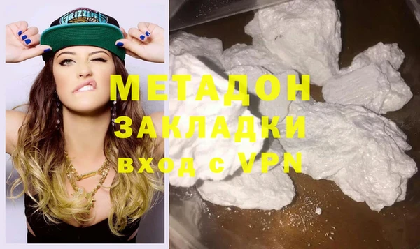 индика Бородино