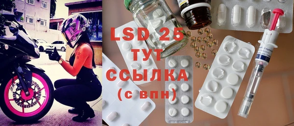 прущие грибы Бугульма