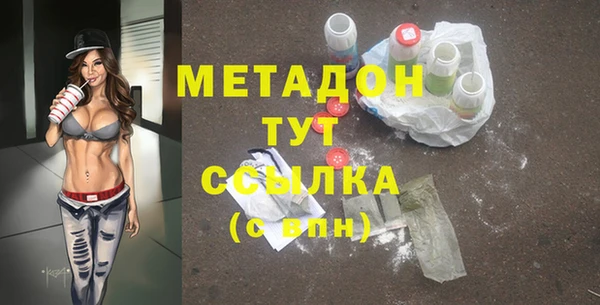 индика Бородино