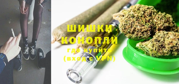 прущие грибы Бугульма