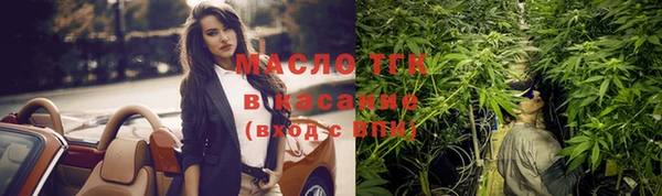 индика Бородино
