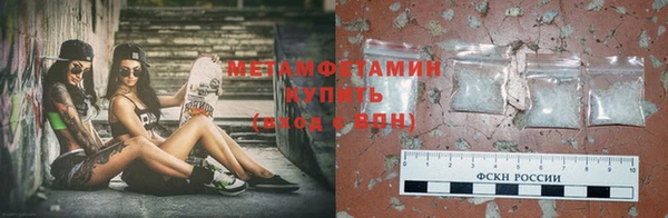 прущие грибы Бугульма