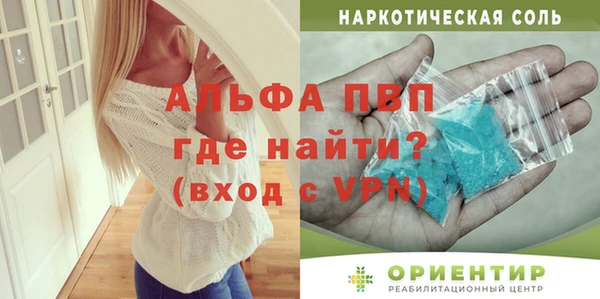 индика Бородино