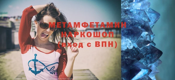 индика Бородино