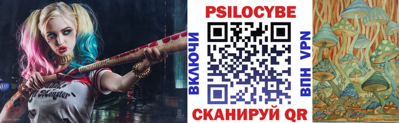 Купить  Новомичуринск  Псилоцибиновые грибы мицелий 